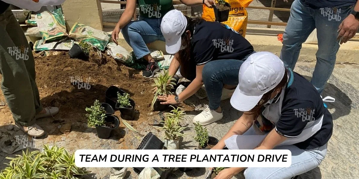 Team during a tree plantation drive