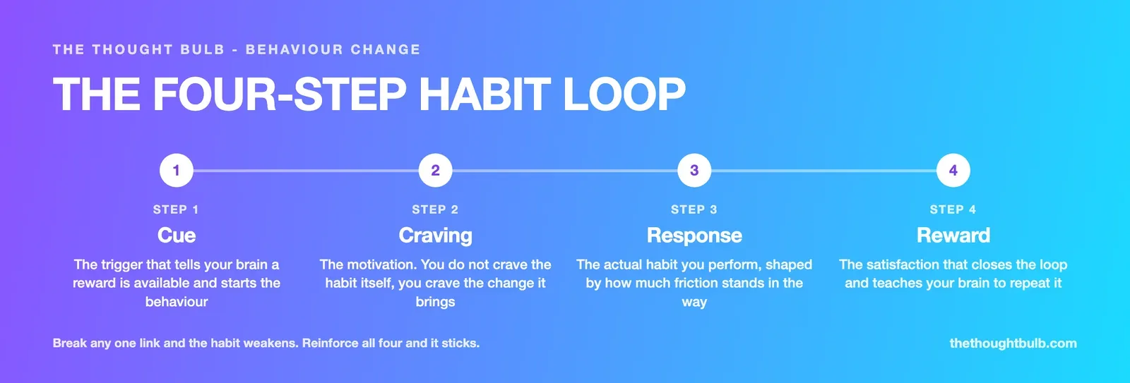Infographic of the four step habit loop: cue, craving, response and reward, showing how each stage leads into the next to form a habit