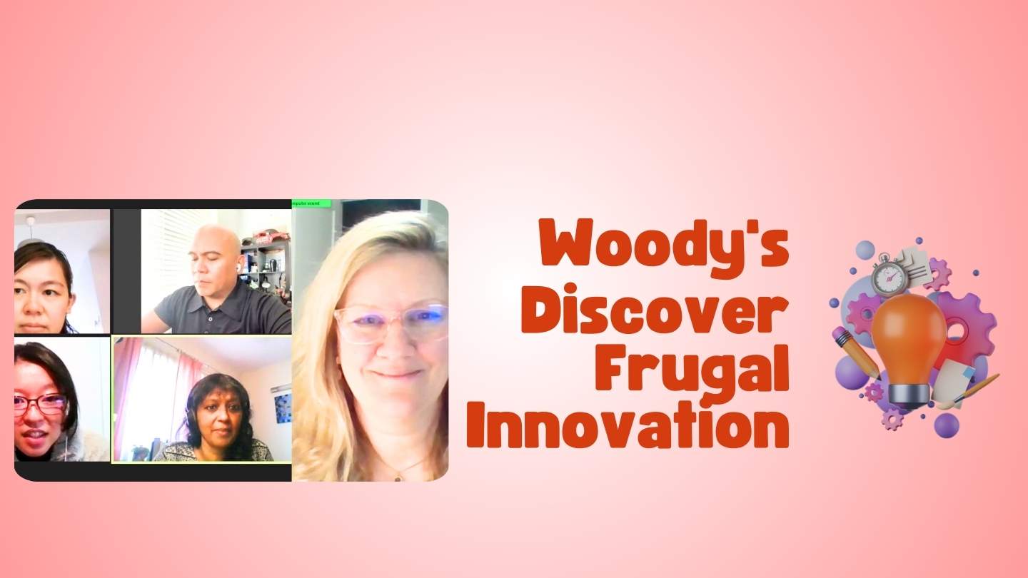 Woody's - Discover Frugal Innovation
