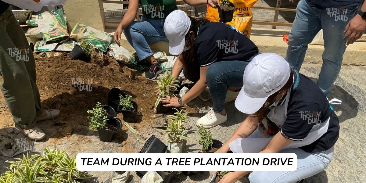 Team during a tree plantation drive